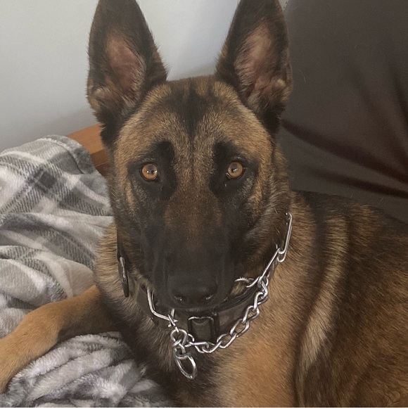 Meet your Posher, Jennifer - Picture 6 of 10